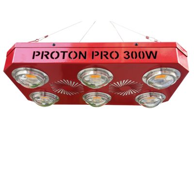 Proton Pro 300W-3