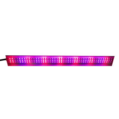 top-flora-30w-bar-02